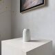 Kaiser porcelain vase python