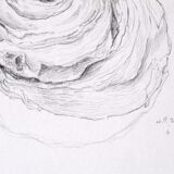 Hazelnut Roll No.2 - Original signed design