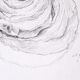 Roulé noisette N°2 - dessin original signé