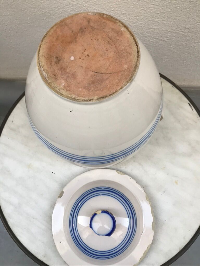 Candied glazed earth early xx