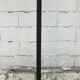 Vintage parrot coat rack