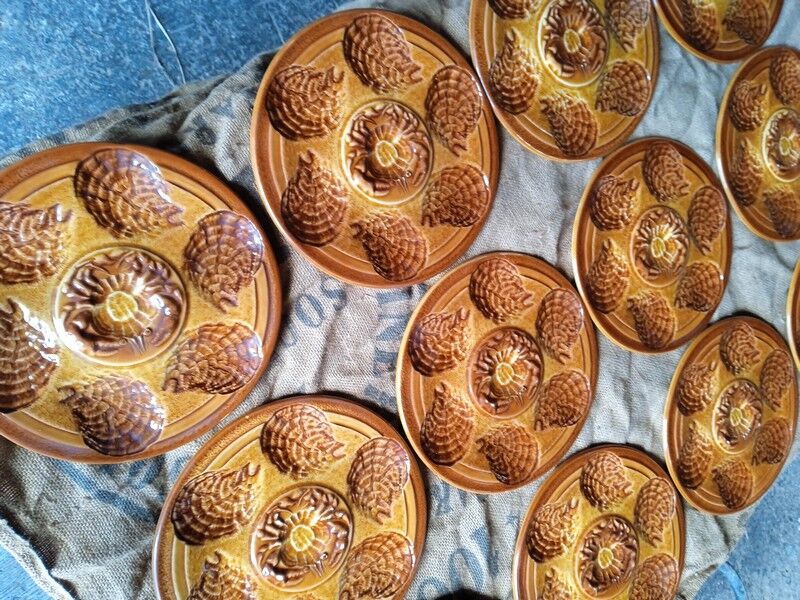 12 plates Sarreguemines oyster