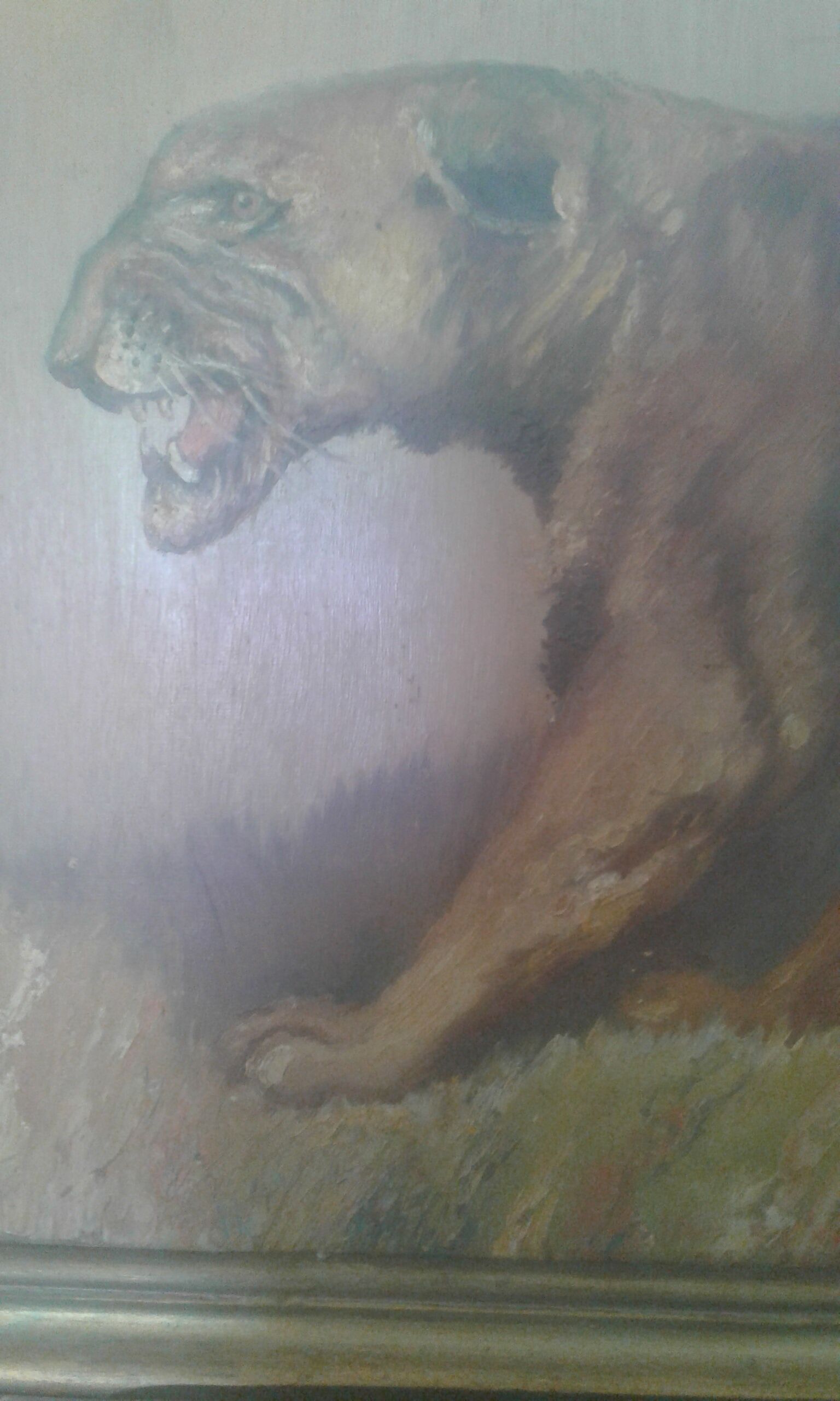 Lioness painting by Xavier Sager
