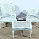 Broken Beech Duchess with Rechampi, Louis XVI style – 2nd part of the 19th century