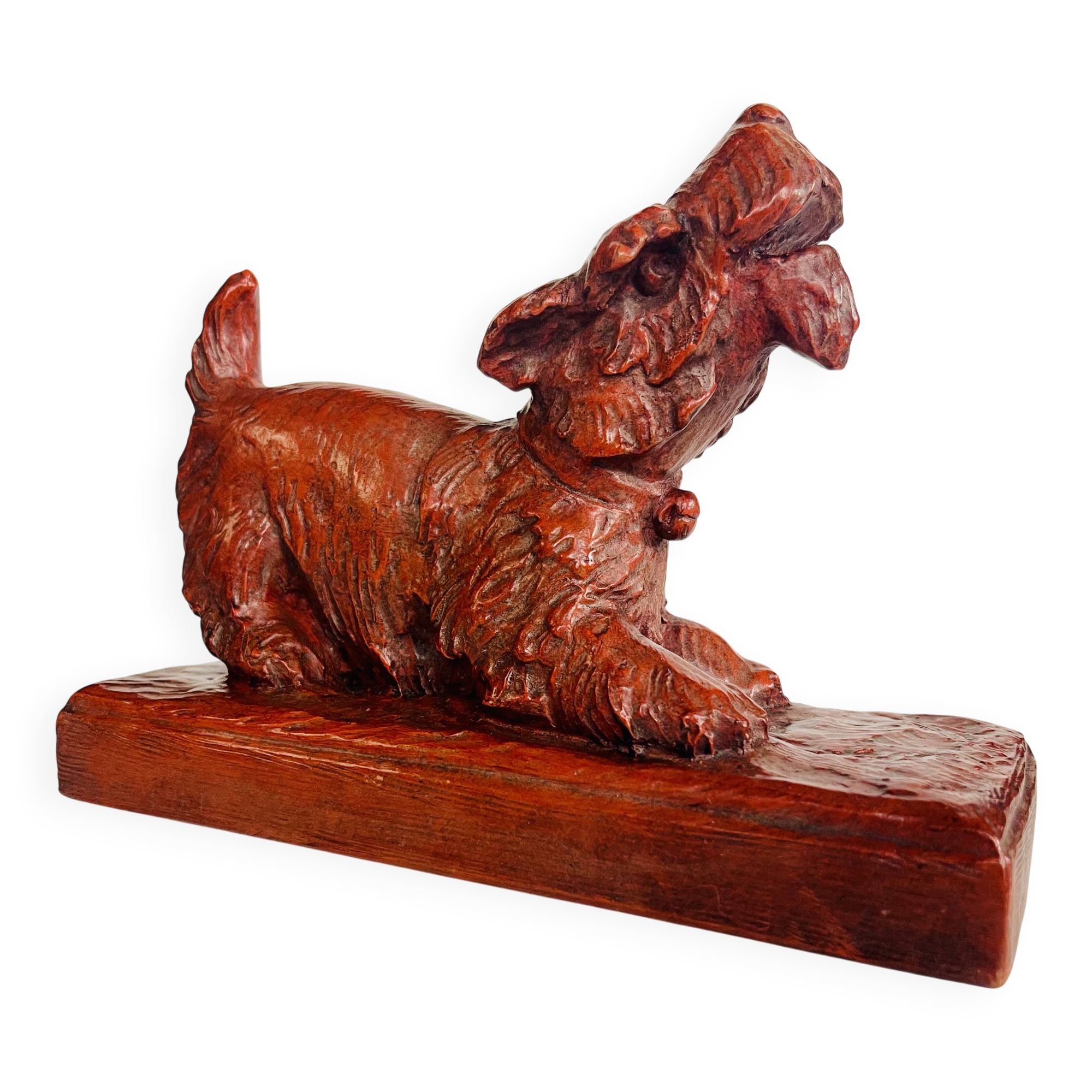 Cooked head dog