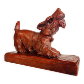 Cooked head dog