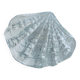 Coquillage bénitier en verre