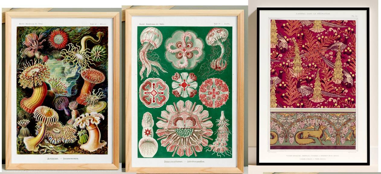 Set of 6 posters