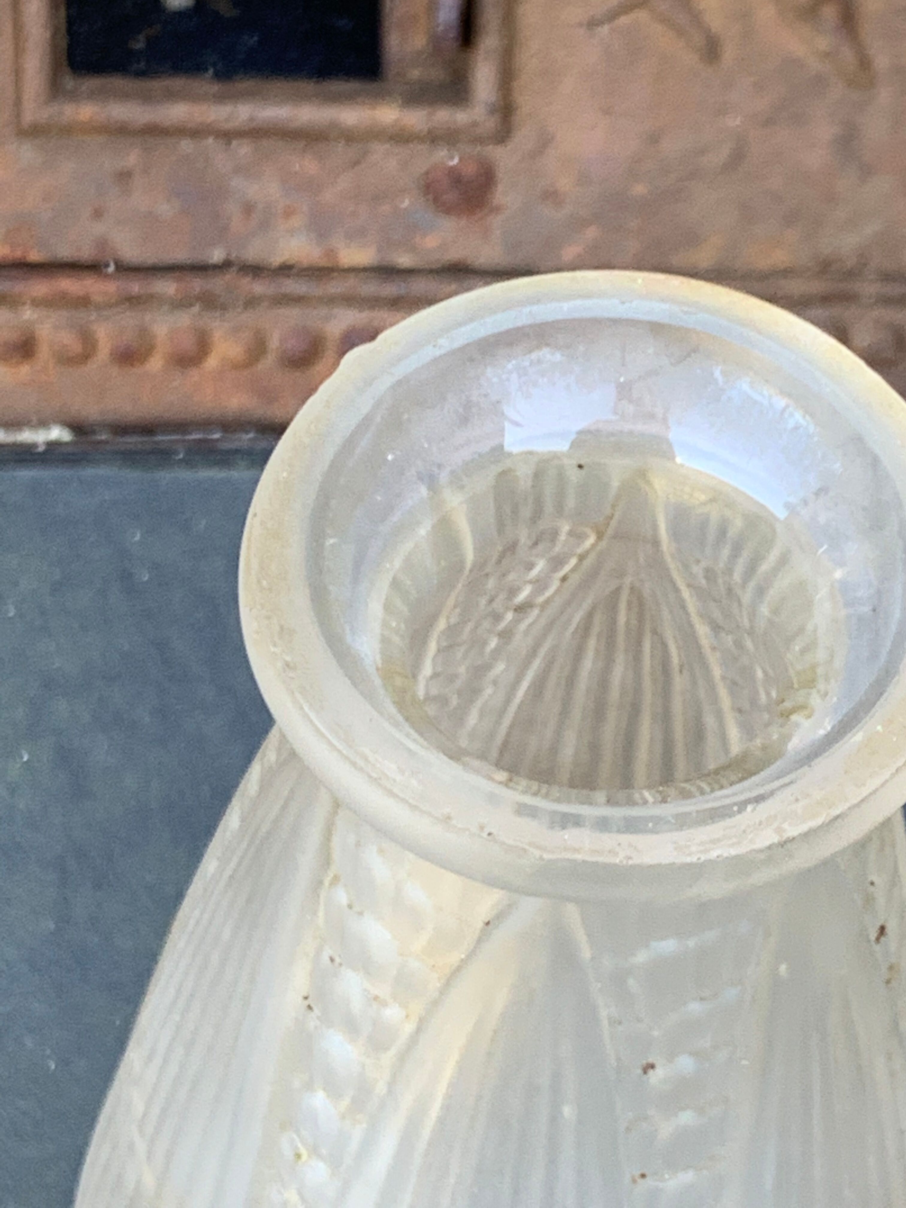 Hyacinth vase in frosted glass art deco foliage pattern