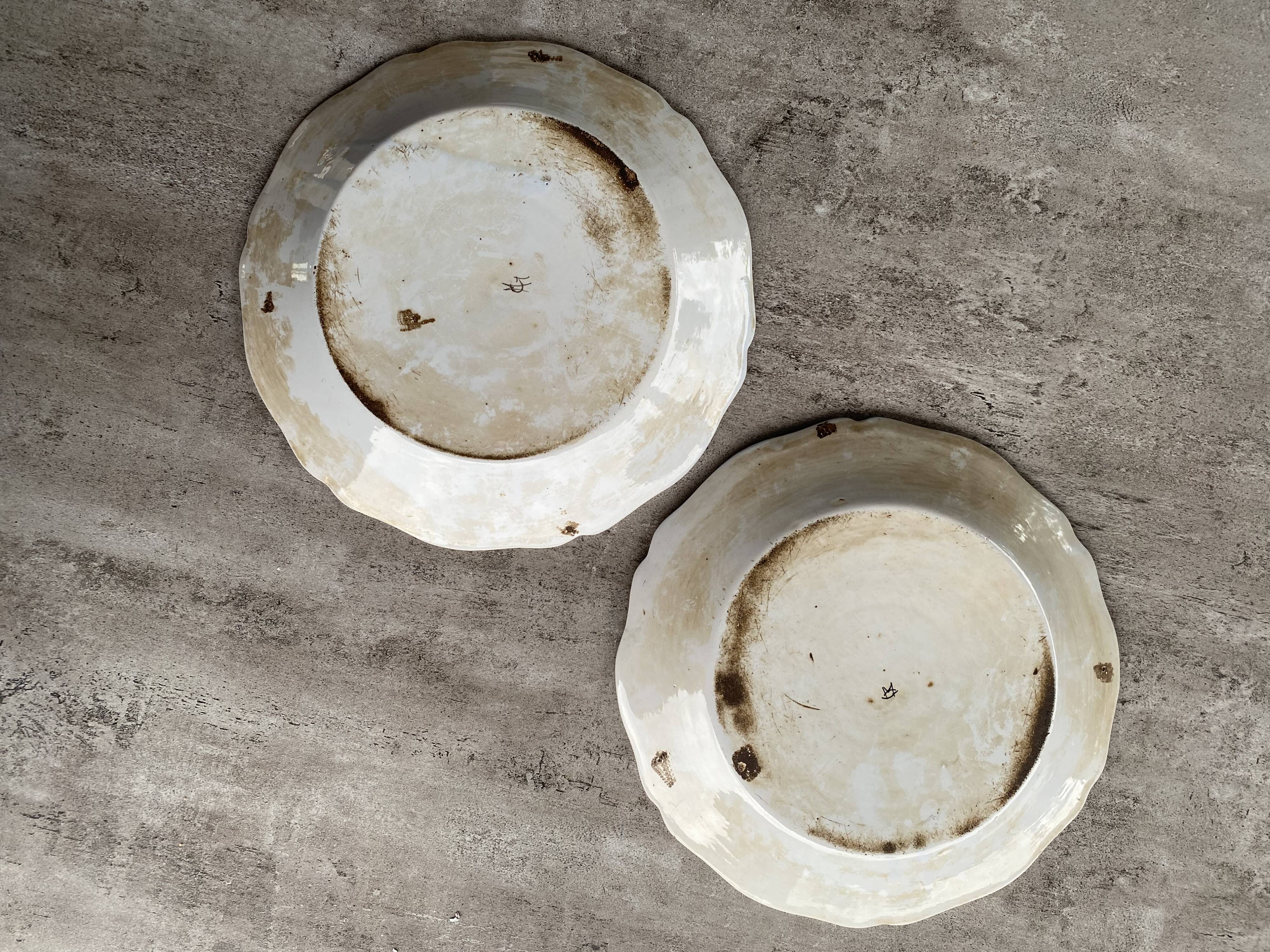 Lot de 2 assiettes décoratives en faïence de Desvres