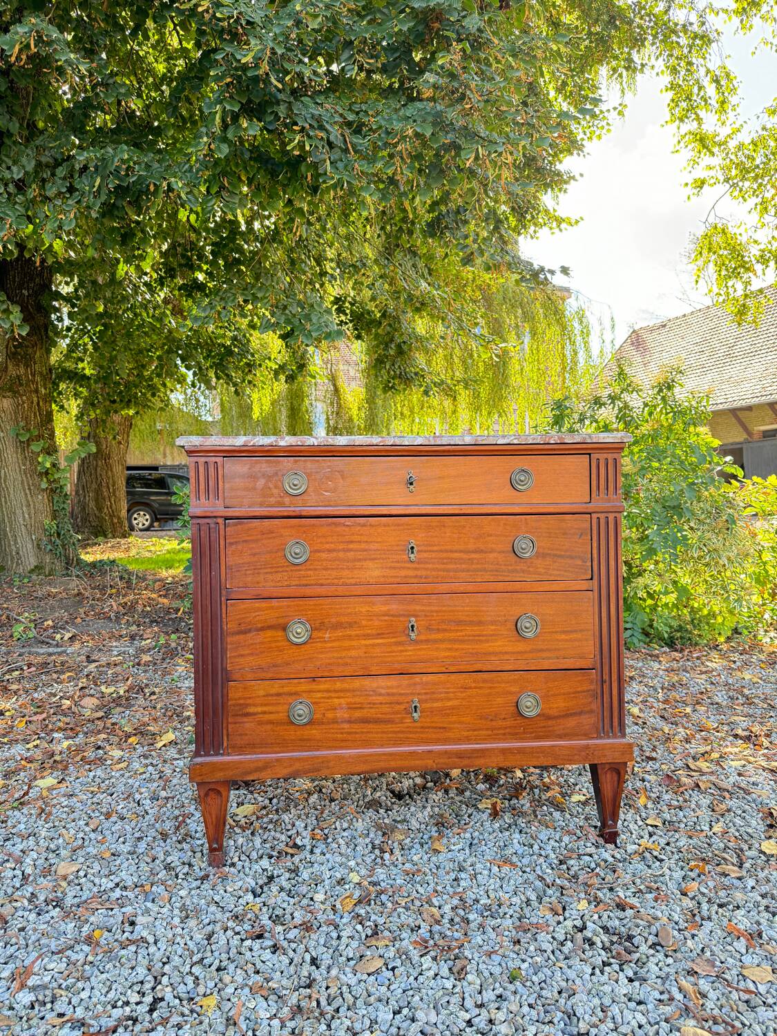 Louis XVI Style Mahogany Chest of Drawers, 19th Century