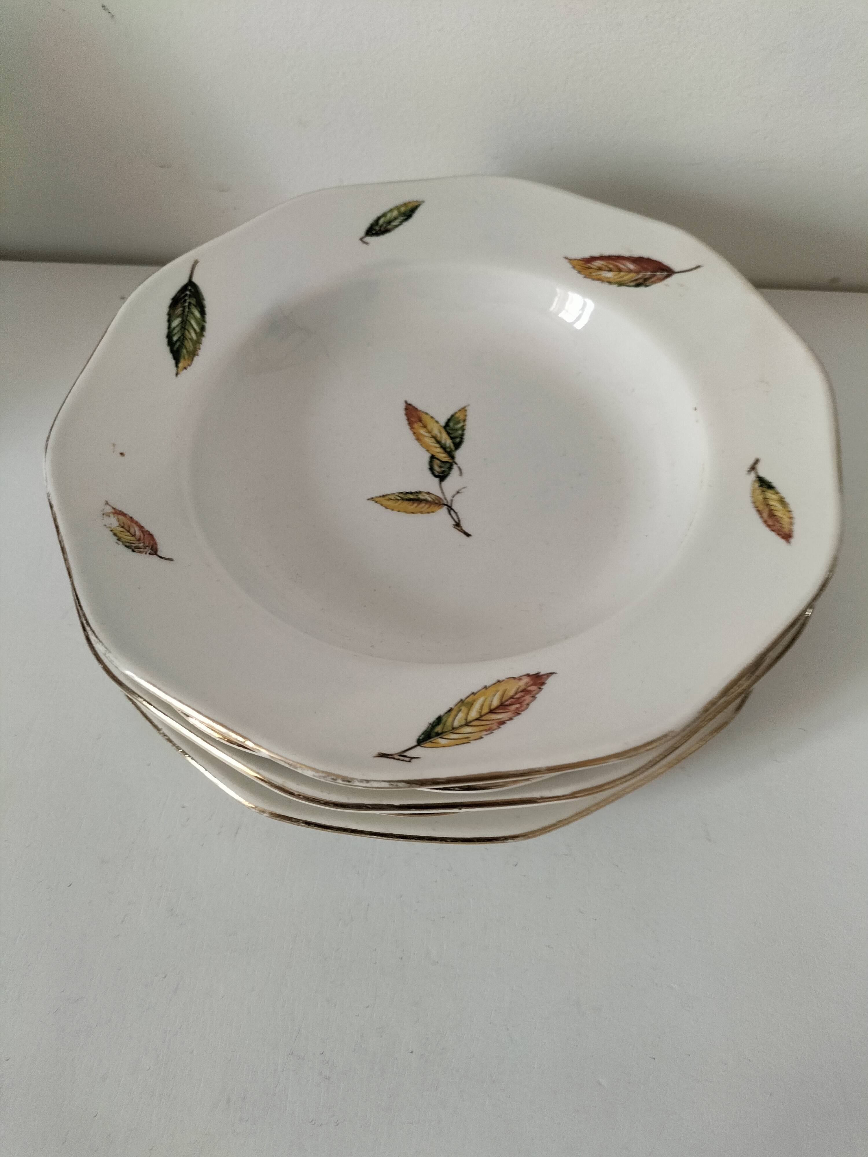 7 assiettes plates et creuses en faïence opaque Digoin Sarreguemines Nemours