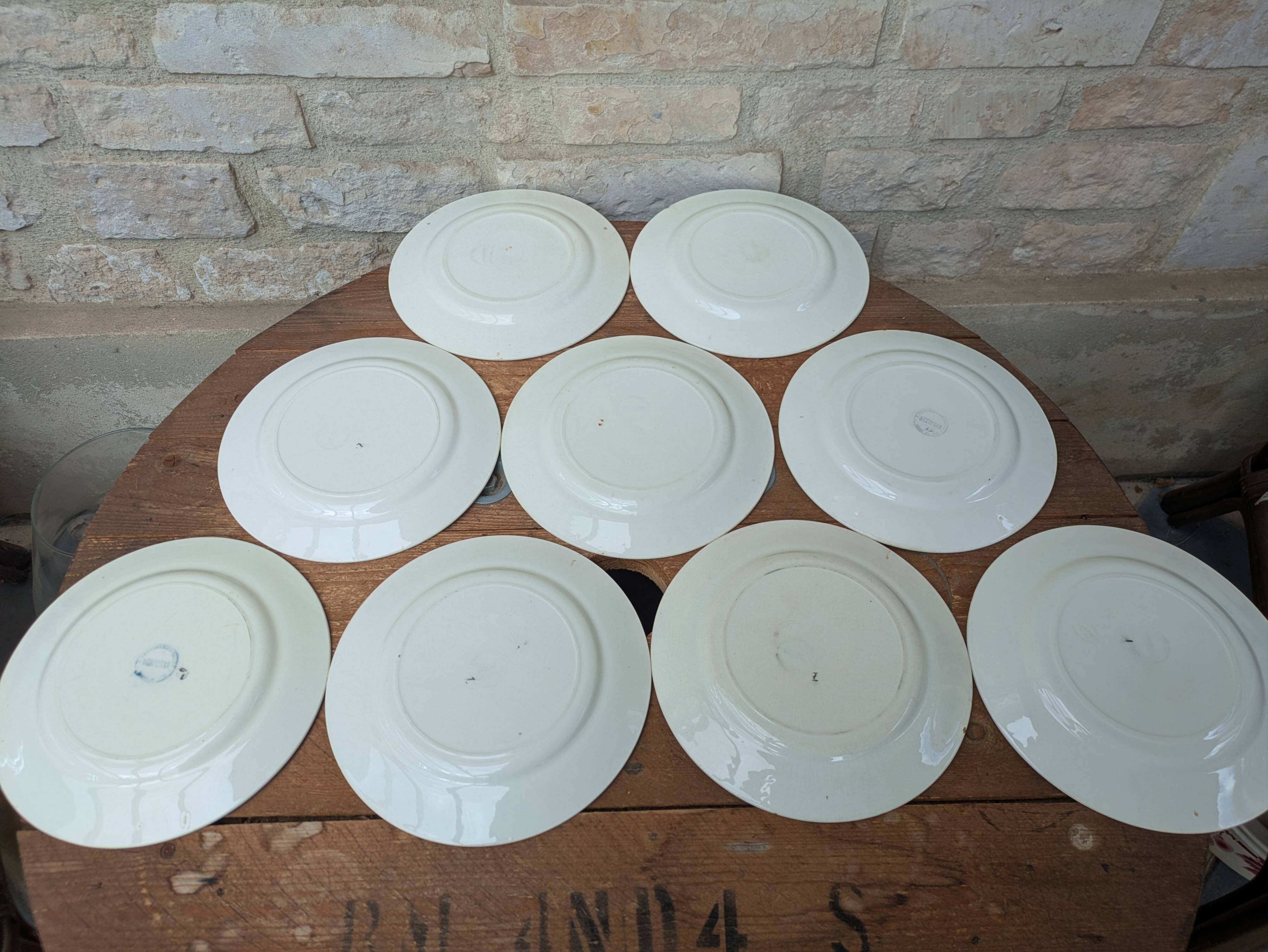 9 old flat plates in Salins ironstone model Nénuphar 24.5cm