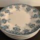 8 flat green and white plates 19th century Terre de Fer