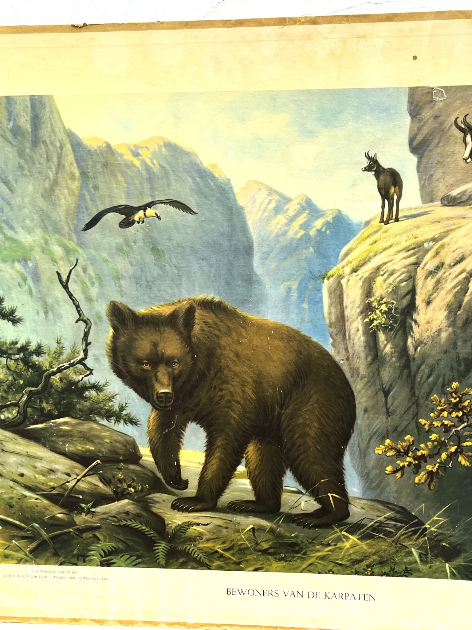 School poster J.B. Wolters