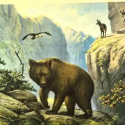 School poster J.B. Wolters