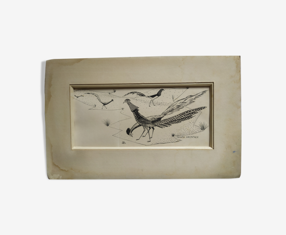 Gravure "Faisans Orientaux" 1950's
