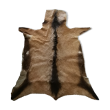 Goat skin