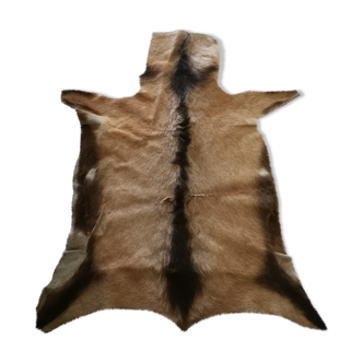 Goat skin