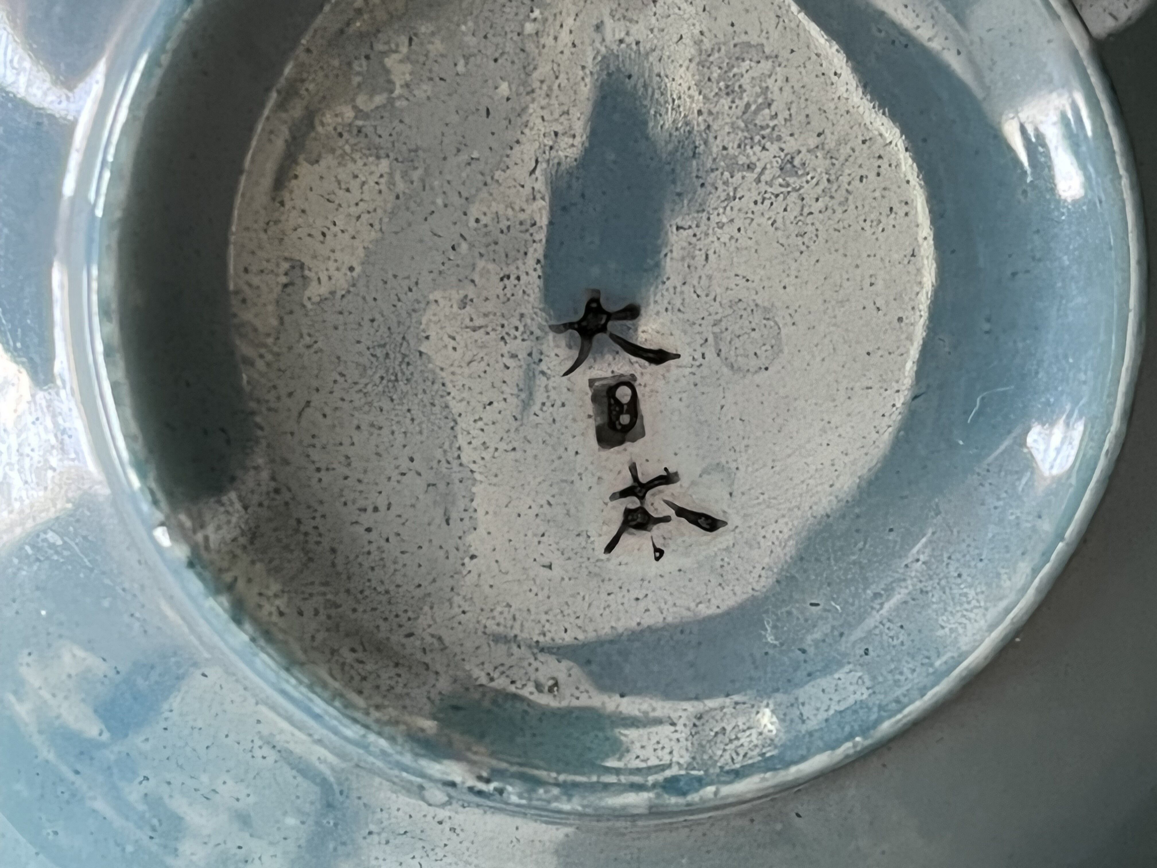 Cup ans saucer china porcelain