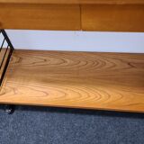 Vintage Nisse Strinning wall unit