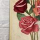 Old rose watercolor