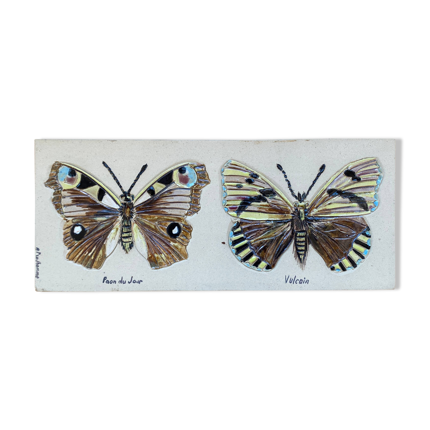Bas relief painting / earth lepidopterology Butterflies A. Prudhomme Curiosity cabinet