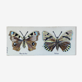Bas relief painting / earth lepidopterology Butterflies A. Prudhomme Curiosity cabinet