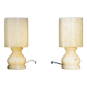 Paire de lampes en albâtre , vintage 1970