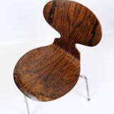 Lot de 6 chaises Ant modèle 3101 fabriquées en palissandre par Arne Jacobsen pour Fritz Hansen des années 1950