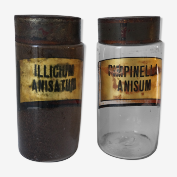 Pair of apothecary bottles