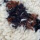 Beni Ouarain wool rug in 185x280 cm wool
