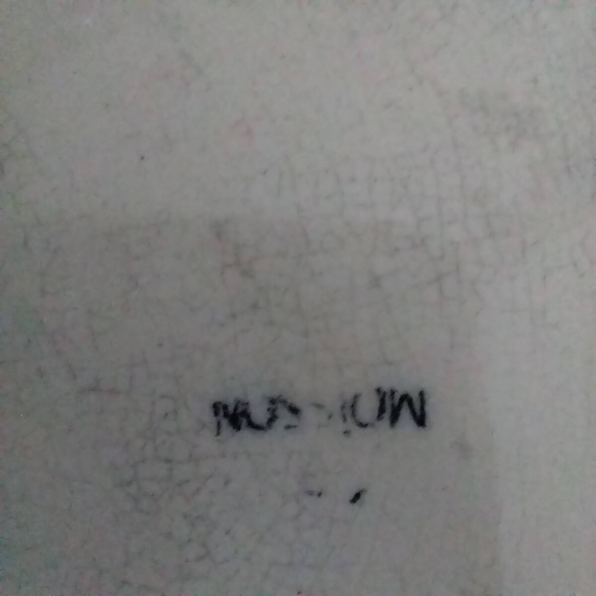 Large iron earth dish Onnaing Nord model Moisson