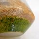 Small Art Nouveau enameled landscape vase/pot
