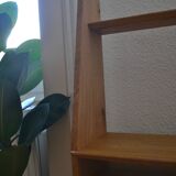 Handmade oak shelf