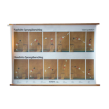 "Sports" published by Paul Sappl Austria 1968 poster