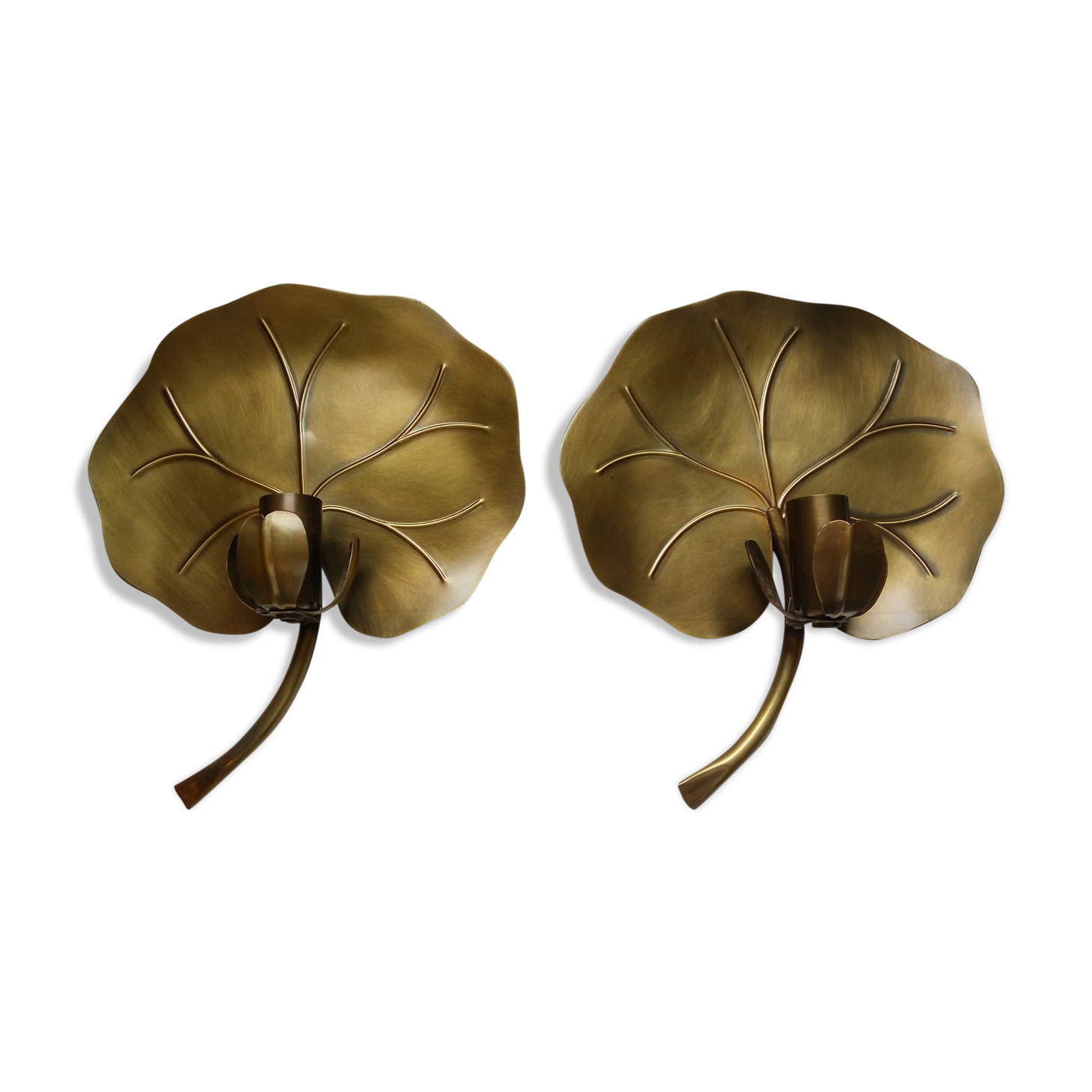 Waterlily wall lamps