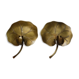 Waterlily wall lamps