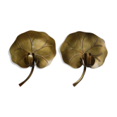 Waterlily wall lamps