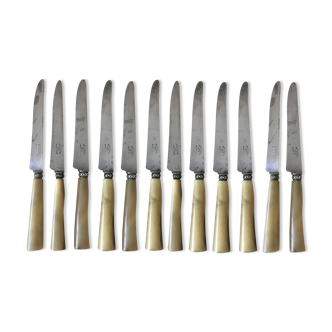 Old cheese knives or other use