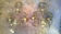 Pair of sconces