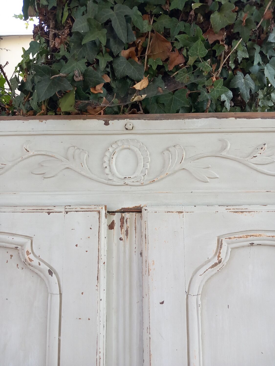 2 portes de placard anciennes en bois avec chassis
