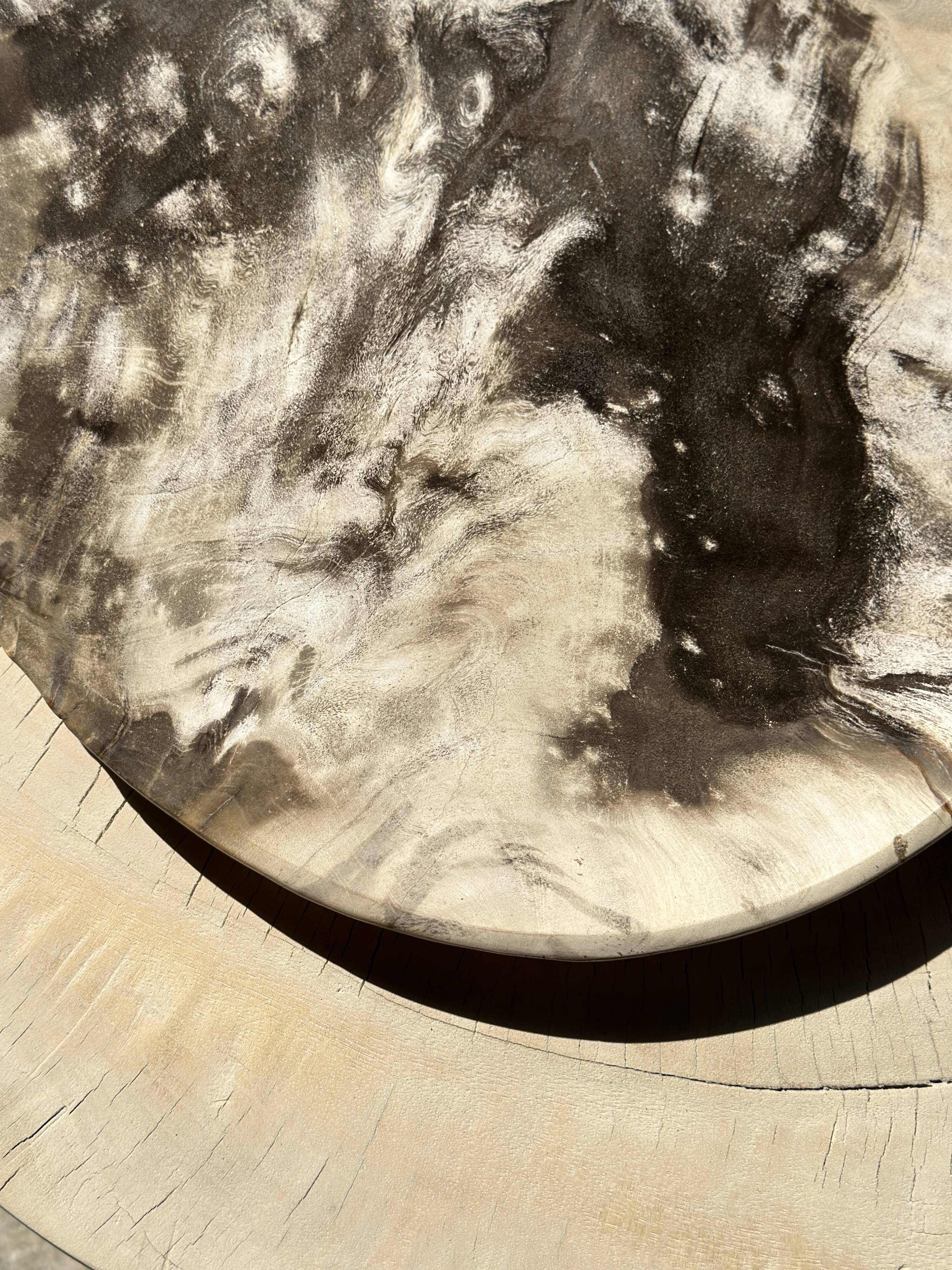 Very large empty pocket or petrified wooden flat