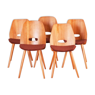 Cinq chaises de salle à manger tchèques du milieu du siècle, fabriquées dans les années 1950 par Tatra Nábytok. Jirák