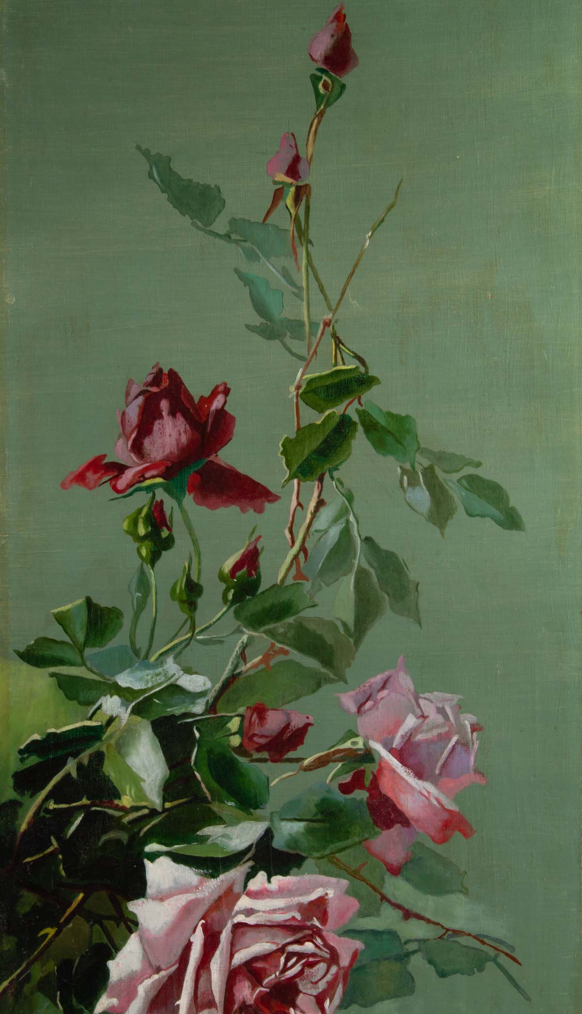 Pair of roses paintings-circa 1900