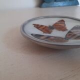 Naturalized Butterfly Year 70