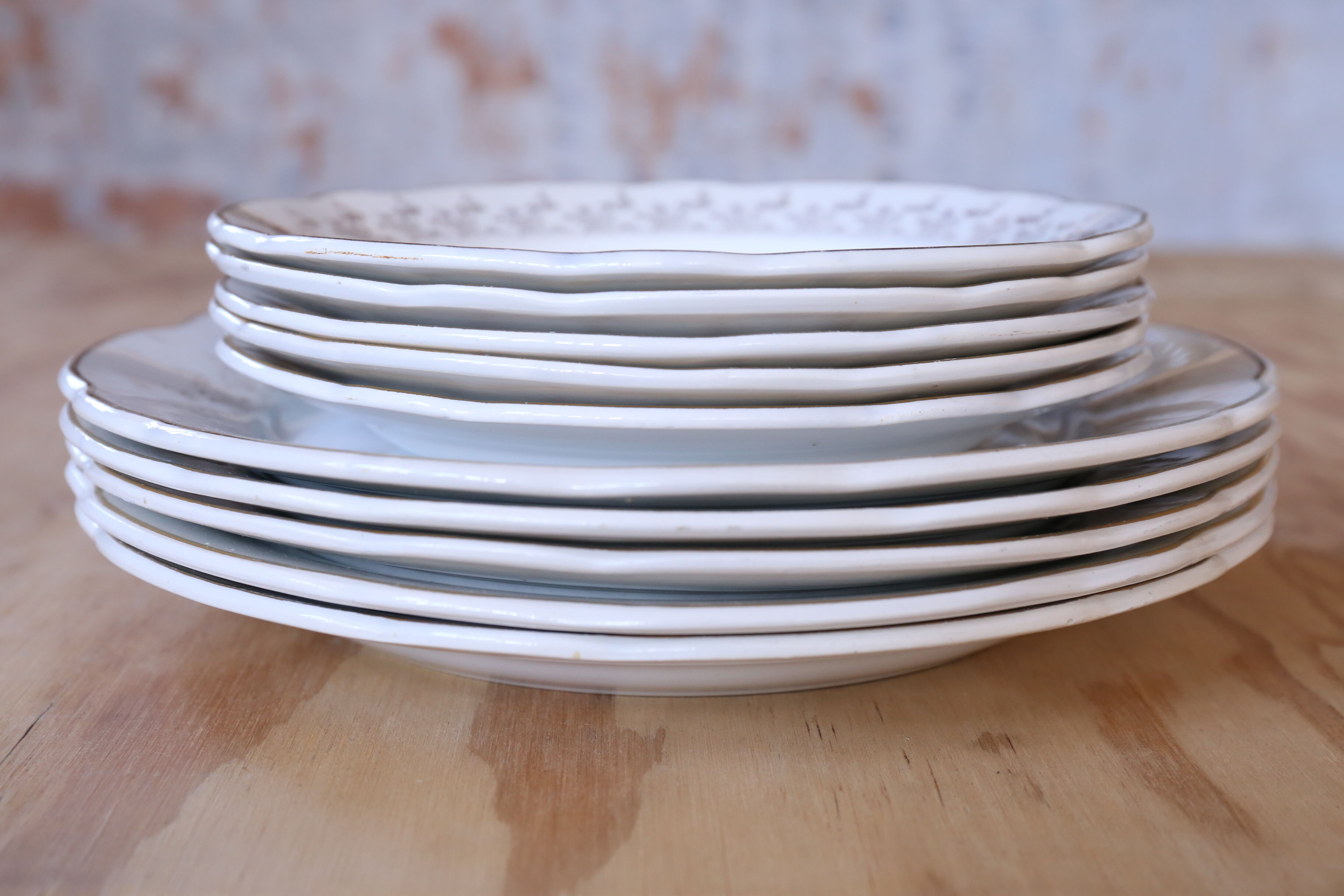 Service of 10 plates Digoin & Sarreguemine