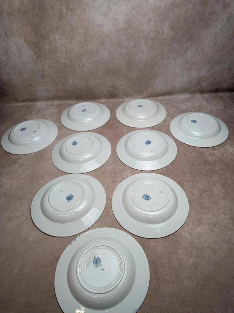 Set of 9 deep plates Terre de Fer St Amand model Andrinople