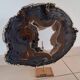 Agate geode from Brazil