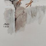 Old bird plate from the 1960s - Soulcie sparrow - Nature zoological illustration